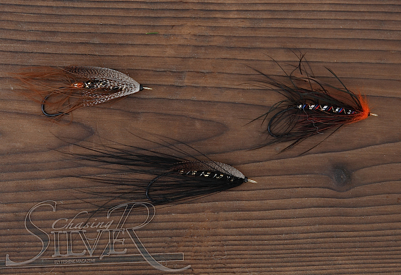 Classic salmon fly show case – Chasing Silver Fly Fishing Magazine
