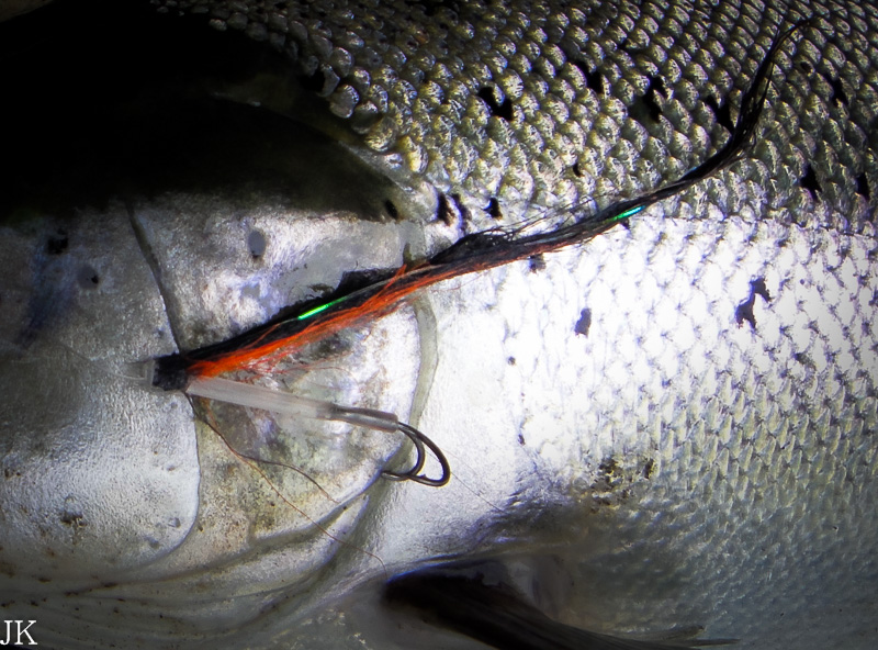 Salmon fishing – Chasing Silver Fly Fishing Magazine